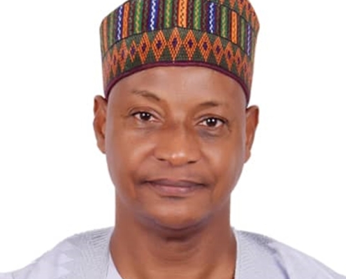 Ambassador Usman Sarki